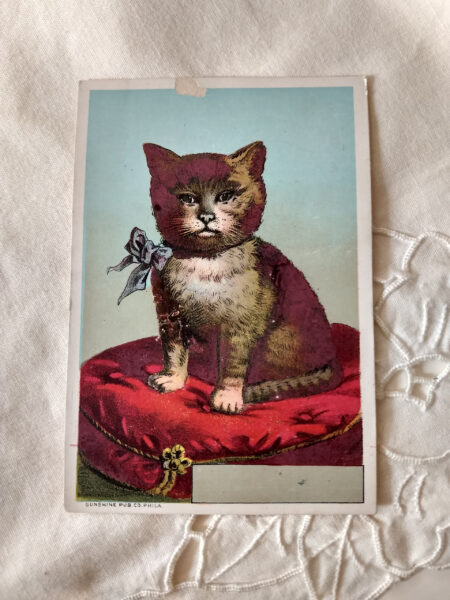 1900s Trade Card Lithograph Cat Howard Nagle Girard Kansas