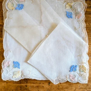 8 Madeira Napkins Organdy Embroidery Color Appliques Vintage Nappy Cocktail Set